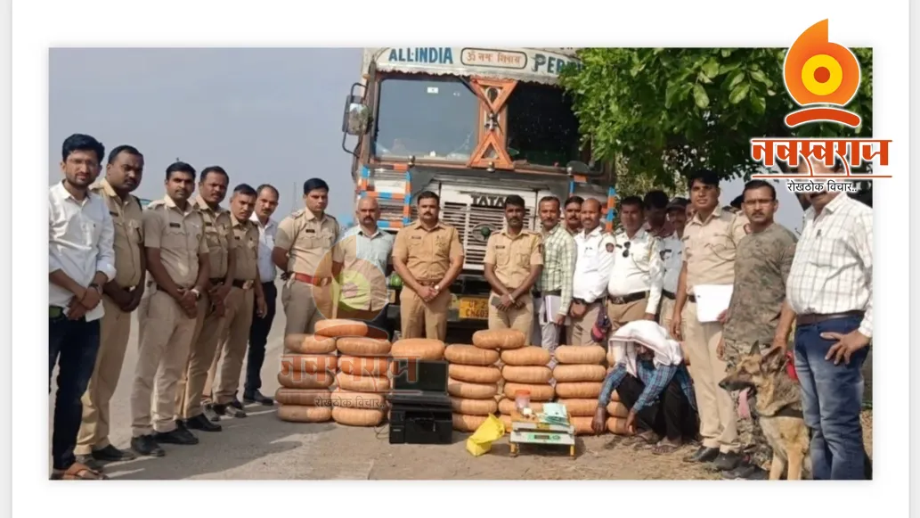 Buldhana Police : मोठ्या कारवाईत पकडला 210 किलो गांजा